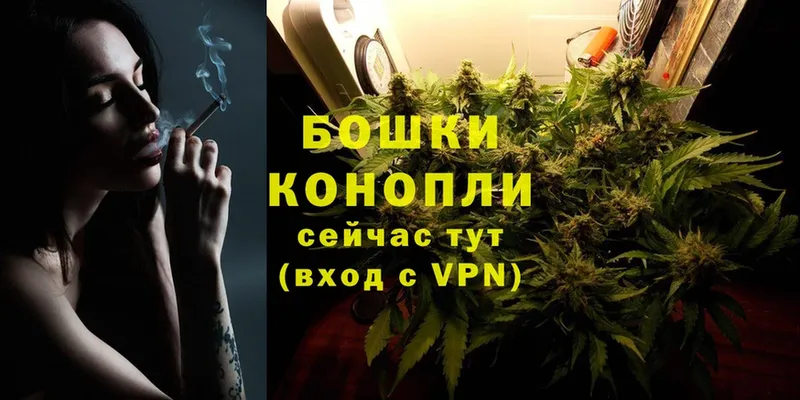 Шишки марихуана SATIVA & INDICA  Белозерск 